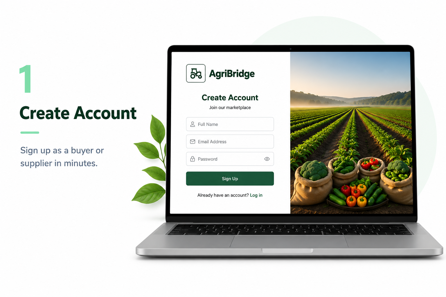Create Account